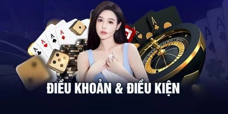 Vai trò thiết yếu của điều kiện điều khoản